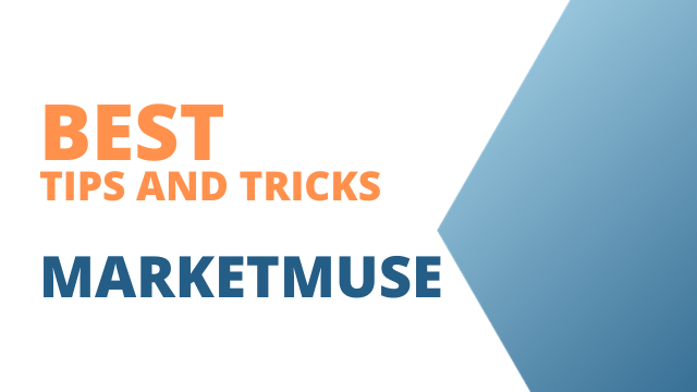 MarketMuse